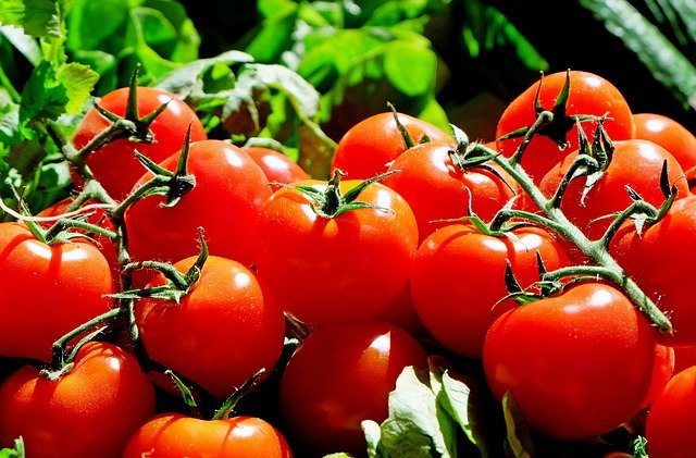slagader Vaarwel Gek Tomatenpuree Vervangen - #1 Alternatief